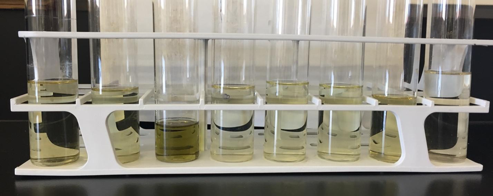 Beakers with clear yellow liquid