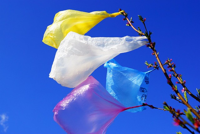 Plastic bags caught in trees and blowing in the wind