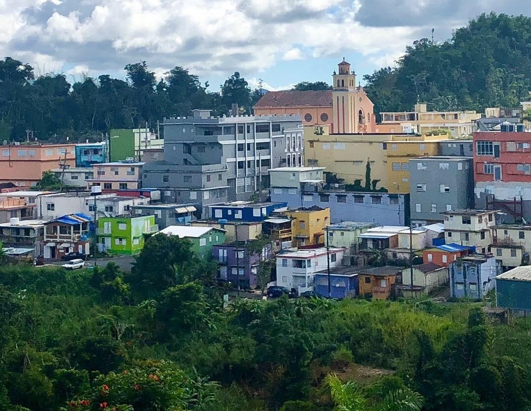 Picture of the town of Barranquitas with colorful houses in the distance and trees in the foreground. 