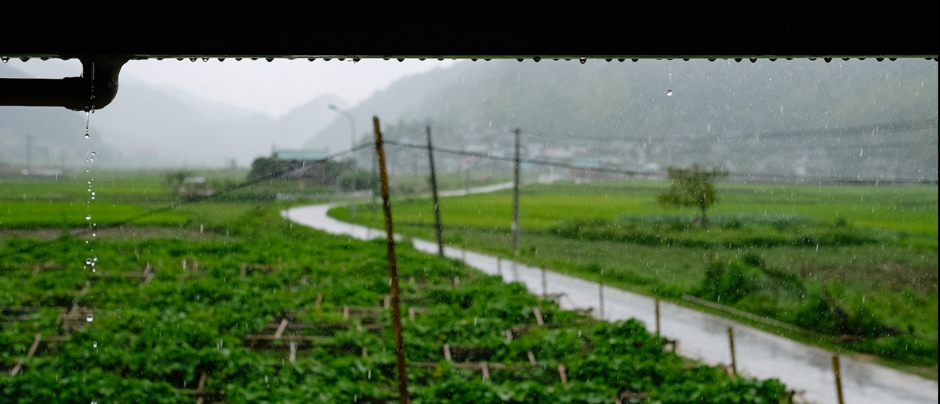 Rain falls on fields in Vietnam