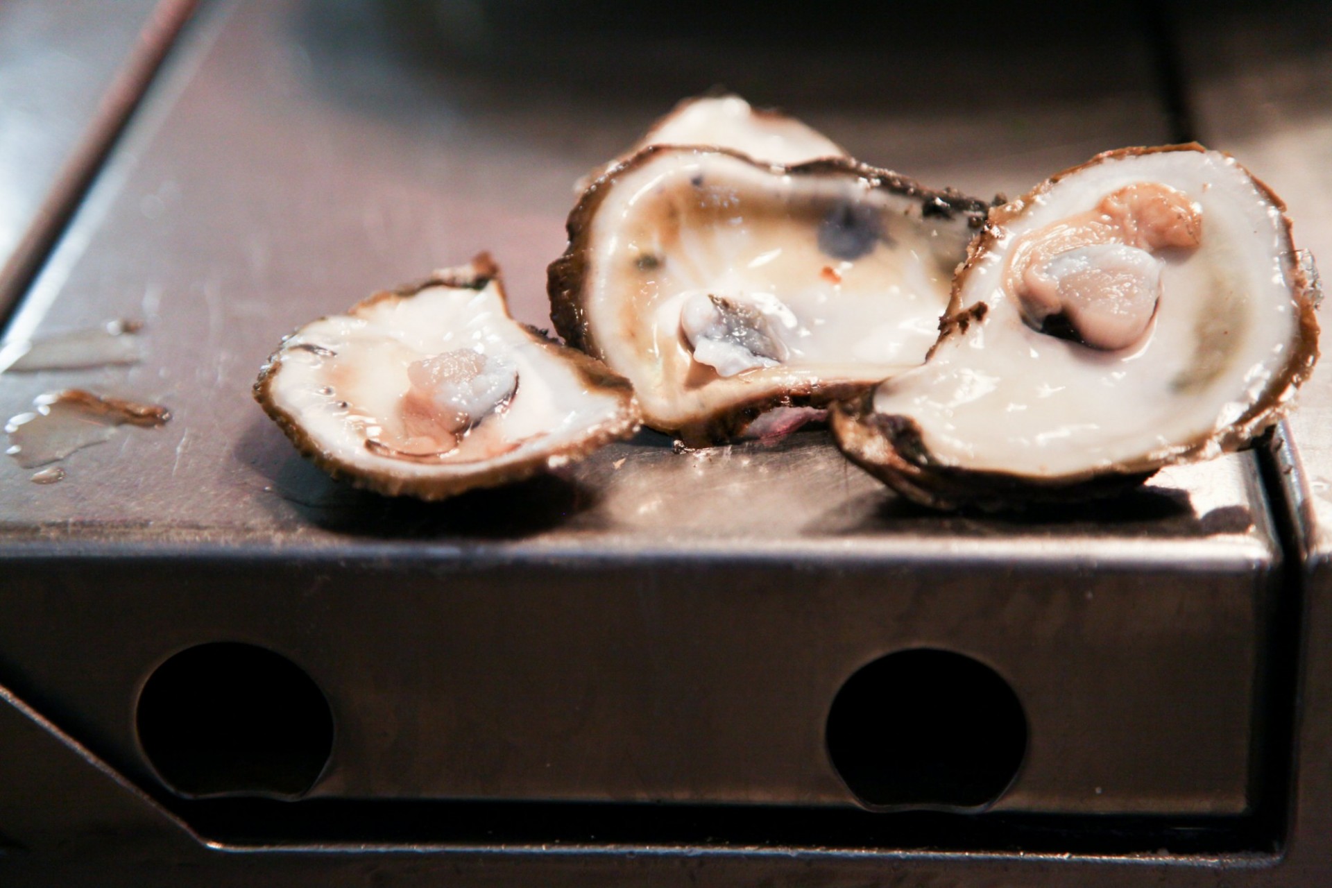 Three open oysters on a stainless steel platform. 